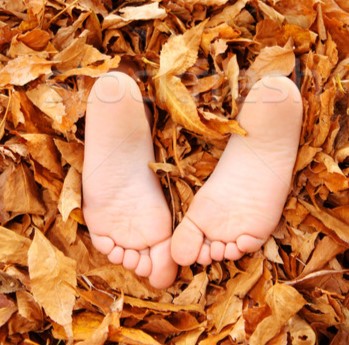 пятки осенью